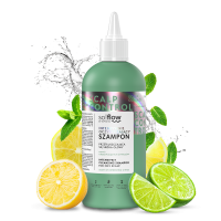 soflow-scalp control-szampon 200.png