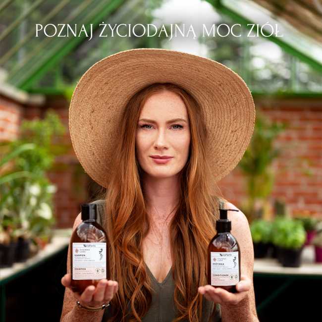infografikiPC-odżywka żeń-szeń5.jpg