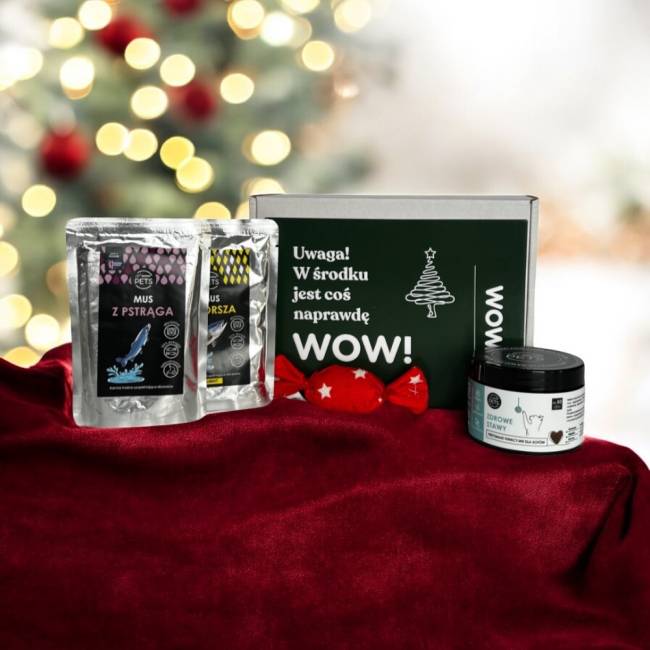 Zestaw zdrowe stawy dla kota, świąteczna zabawka GRATIS